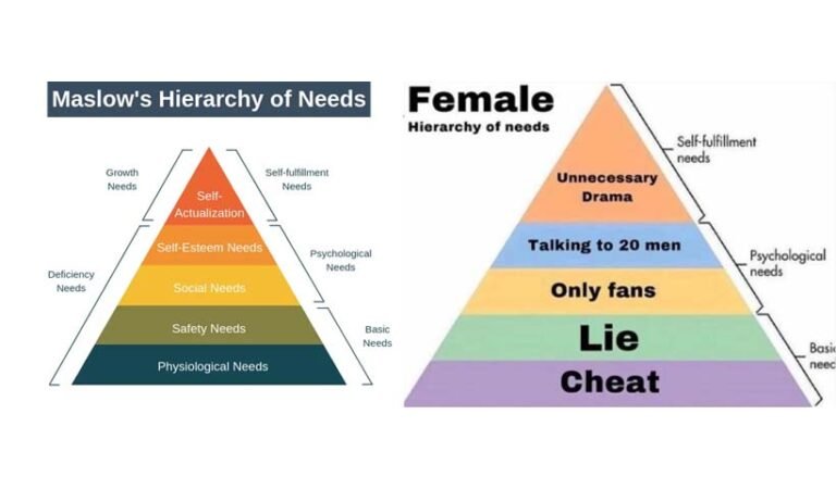 Female Hierarchy of Needs - NEWSOFX